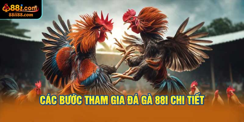 Các Bước Tham Gia Đá Gà 88i Chi Tiết