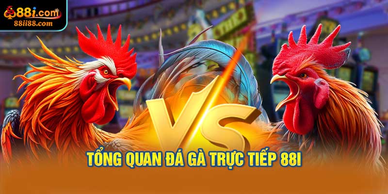 Tổng quan Đá gà trực tiếp 88i