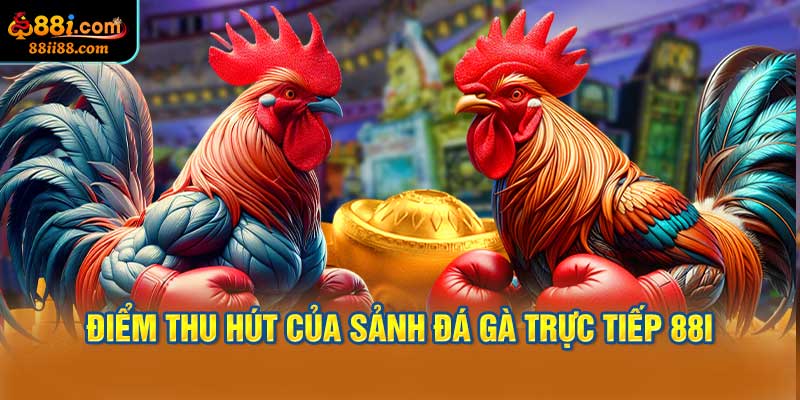 Điểm thu hút của sảnh đá gà trực tiếp 88i